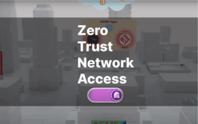 ¿Que es ZTNA (Acceso a la red de confianza cero)?